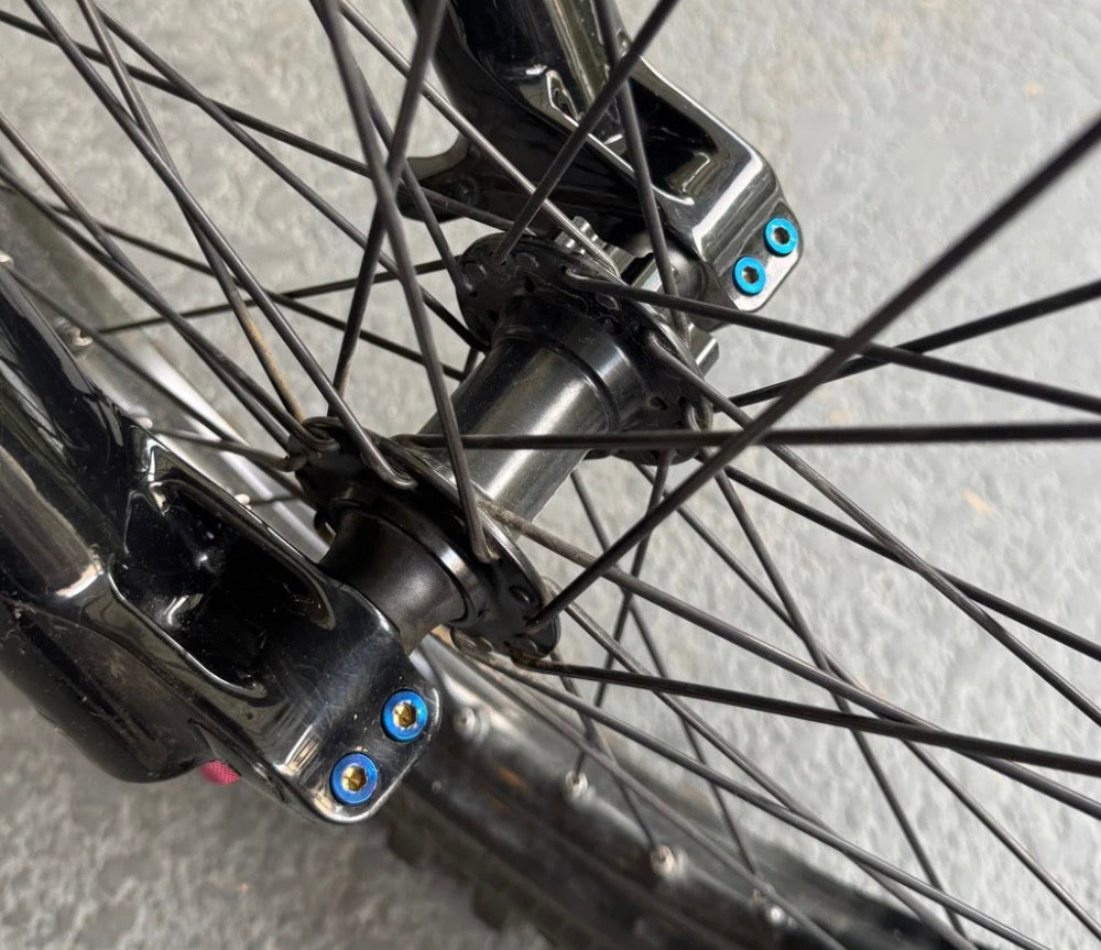 Pinch bolts titanium